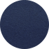Modern Navy
